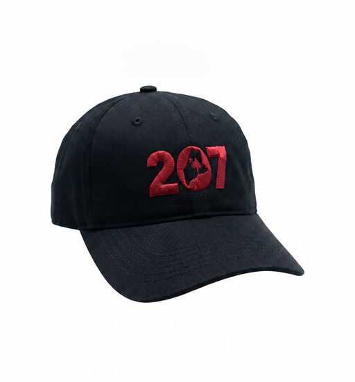 207 Embroidered Twill Cap ROGUE LIFE Co. Hat
